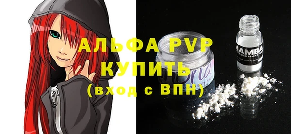 прущие грибы Медногорск