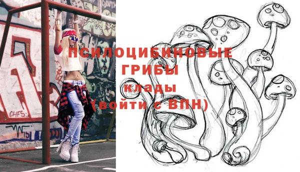 а пвп мука Лиски