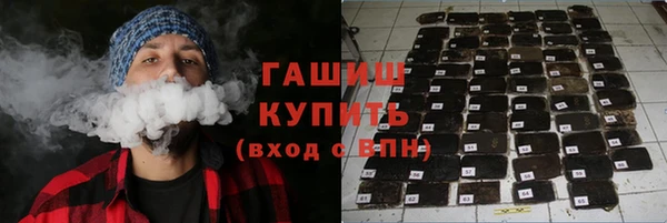 прущие грибы Медногорск