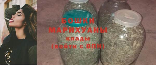 прущие грибы Медногорск
