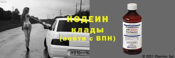 прущие грибы Медногорск