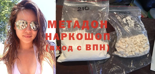прущие грибы Медногорск