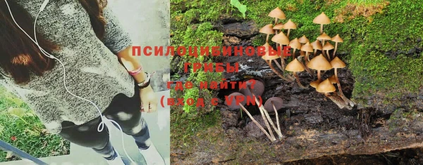 герыч Мегион