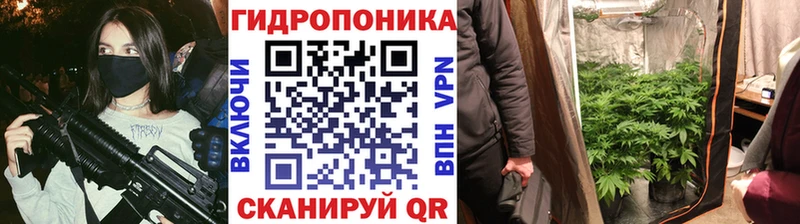 Купить где  Болотное  Каннабис THC 21% 